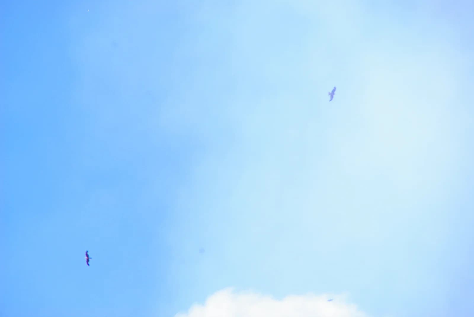 Incendies dans le Sud de la France, terreur et désolation.