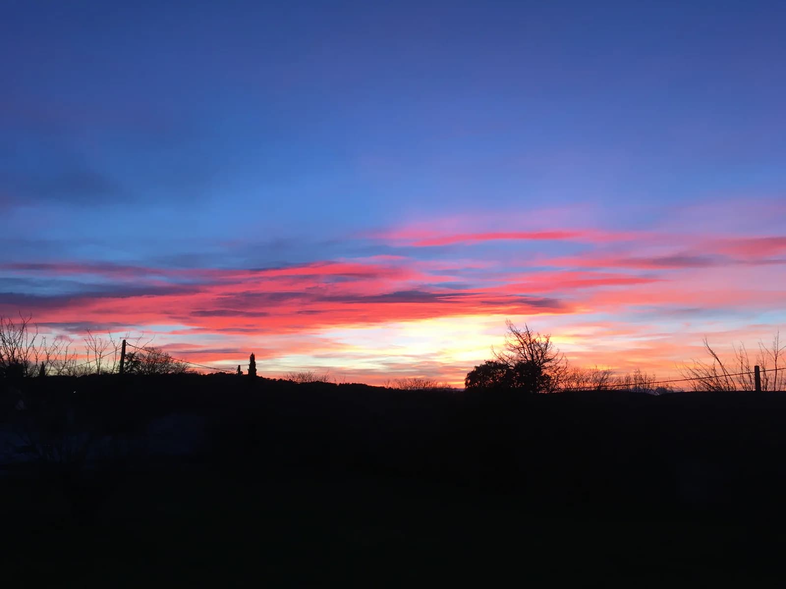 plume de cib